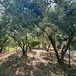 Bacina Lakes - Jelena Appartamento Peracko Blato
