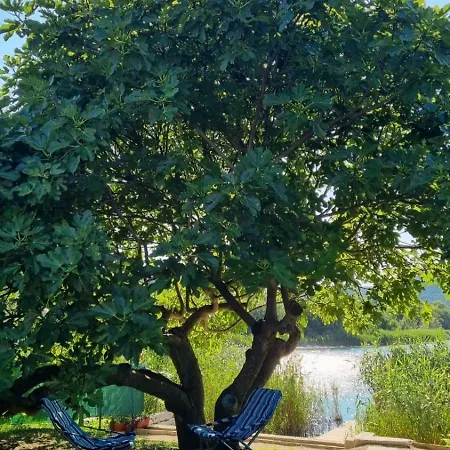 Apartman Bacina Lakes - Jelena