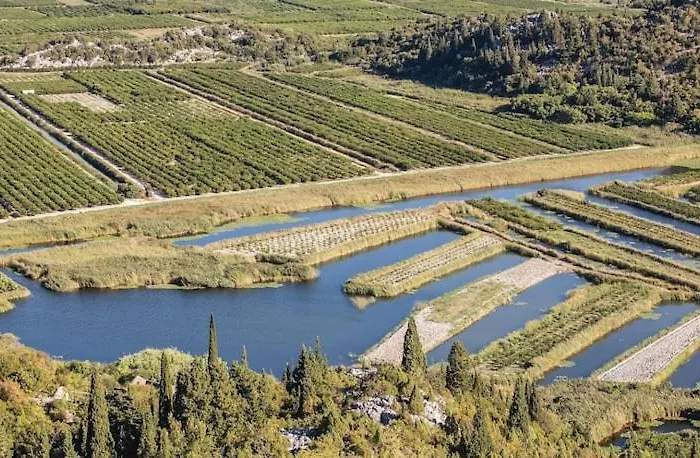 Bacina Lakes - Jelena