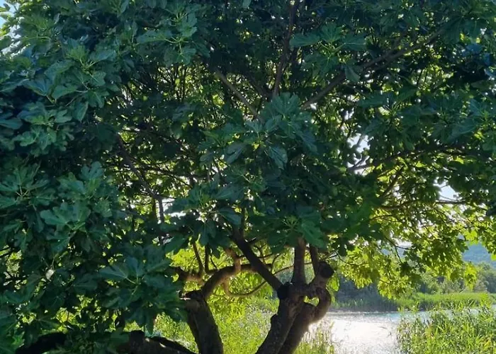 Διαμέρισμα Bacina Lakes - Jelena