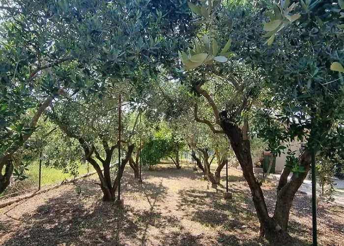 Bacina Lakes - Jelena Διαμέρισμα Peracko Blato